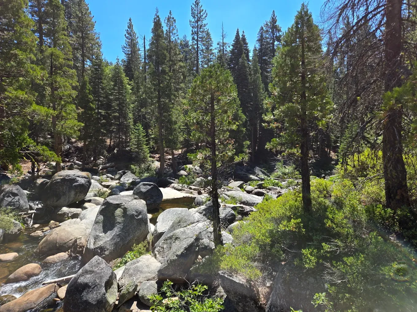 Camping in Eldorado National Forest