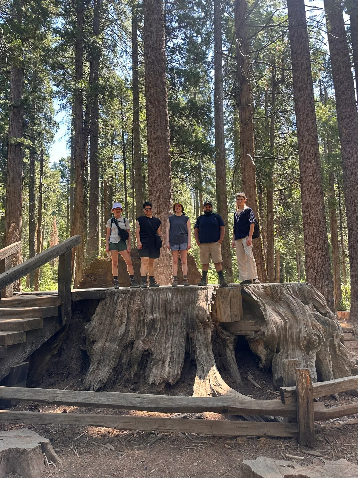 Past hike 1 of 18
