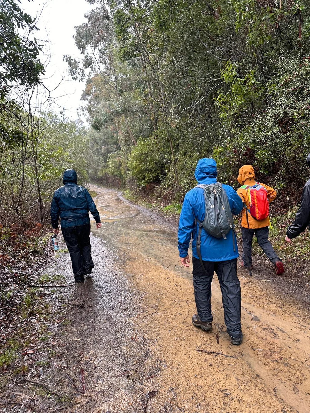 Past hike 16 of 18